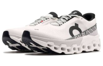 Cloudmonster 2 “Grigio Brina Naturale”